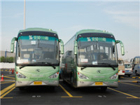 2010年大金龍服務世博會