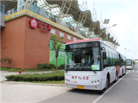 2014大金龍服務青奧會