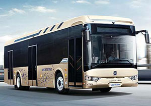 維特思達(dá)YBL6128G