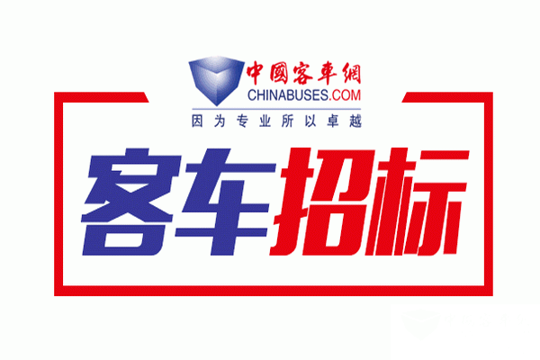江蘇宿遷城市公交公司2019年新能源城市公交車采購項目分包3結(jié)果公告