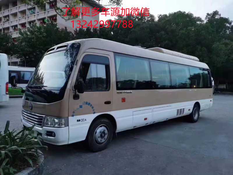 31座非營運(yùn)純電動新能源陸地方舟中巴