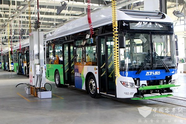 黃?？蛙?按期發(fā)運(yùn) 韓國政府 新法規(guī)要求