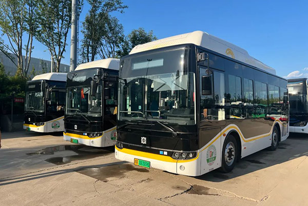 這些企業(yè)逆勢(shì)增長(zhǎng) 2023年8月新能源客車(chē)銷(xiāo)量榜單出爐