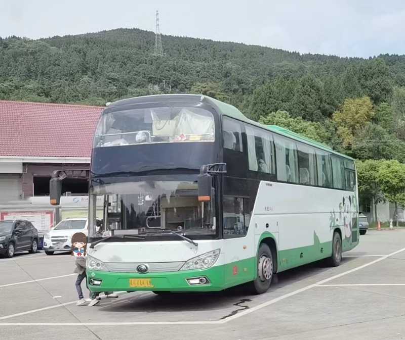 2017年5月國五54座有司機(jī)睡倉宇通6118氣囊旅游車