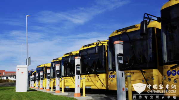 圈粉北歐！金旅純電開拓挪威綠色出行新賽道