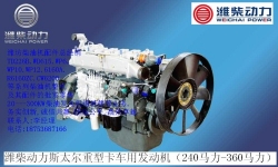 濰柴動(dòng)力配件