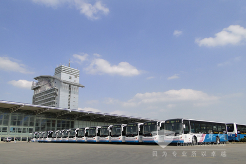 溫馨巴士的中通客車越來越多