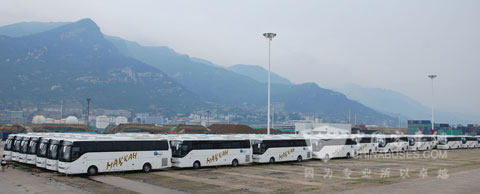 安凱客車正在從連云港港口碼頭裝船發(fā)往沙特