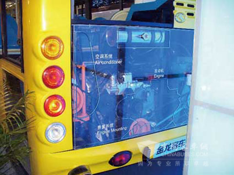 大金龍半透明展示