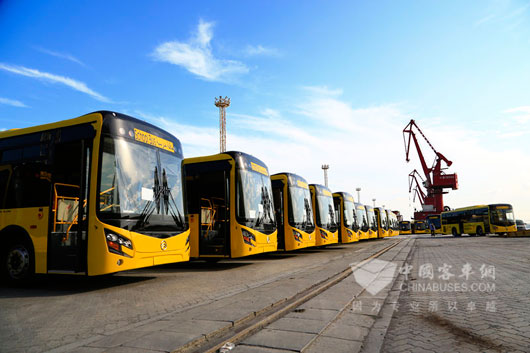 200多臺嶄新的金旅校車即將發(fā)往沙特