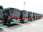天津313部大容量豪華新公交車投入運營