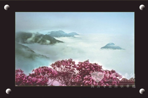 廈華多媒體一體機(jī)IDTV