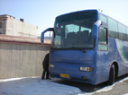 急售黃?？蛙?>
									</a>									
								</div>
																<div   id=