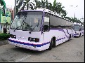 00年車，共10臺，價格面談