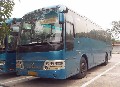3臺金旅客車，2臺03年12月41座，1臺03年4月，47座