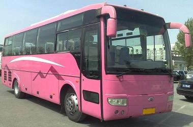 出售03年宇通42座豪華大客車