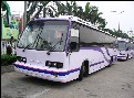 00年車，共10臺，價格面談