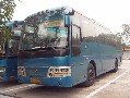 3臺金旅客車，2臺03年12月41座，1臺03年4月，47座