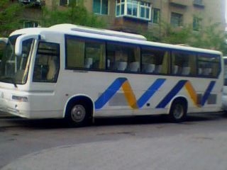 低價(jià)處理黃海，舒馳大客