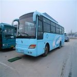 03年36座金龍出售，玉柴機器。車況特好