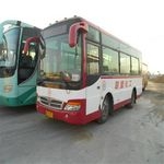 公交車，公交車，公交車！！！