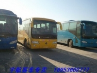 全新66座福田校車，未掛牌，玉柴245發(fā)動(dòng)機(jī)，帶中門