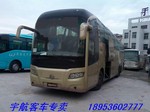 08年57座金龍6145