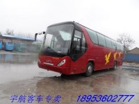 09年底55座青年