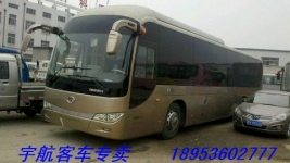 10年50座金龍6120