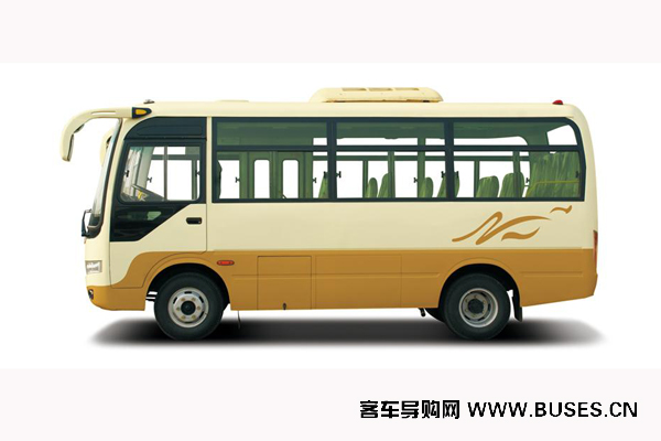 少林SLG6601T5E客車（天然氣國(guó)五10-19座）