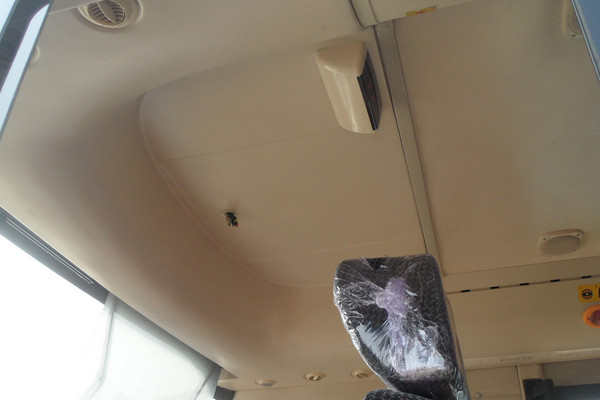 中通LCK6670EV1客車（純電動10-23座）