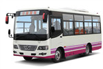 少林SLG6667C5GE公交車（柴油國(guó)五11-25座）