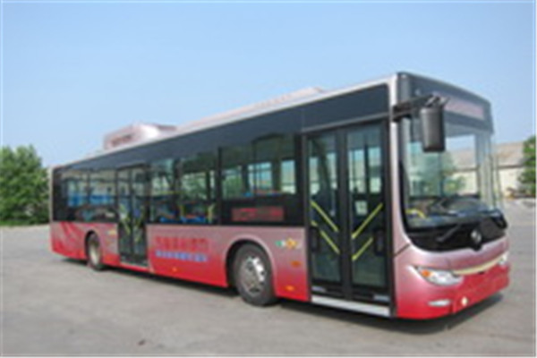 黃海DD6129CHEV5公交車（柴油/電混動國四24-38座）