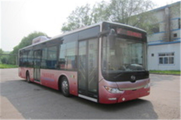 黃海DD6129CHEV3公交車(chē)（柴油/電混動(dòng)國(guó)四24-38座）