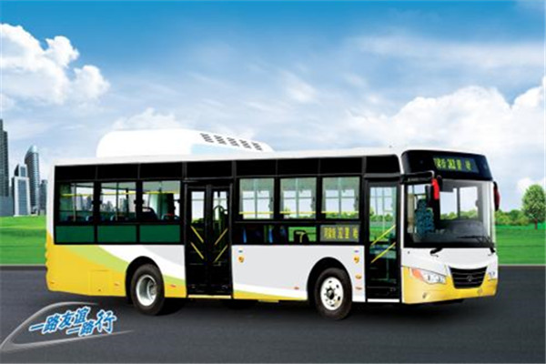友誼ZGT6109NV公交車（天然氣國(guó)五15-41座）