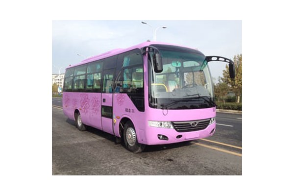 少林SLG6752C5E客車（柴油國五24-31座）