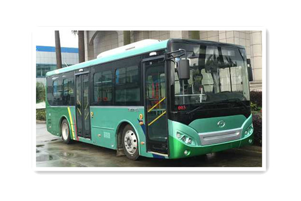五洲龍F(tuán)DG6851EVG9公交車（純電動(dòng)10-28座）