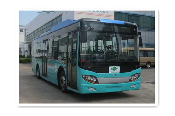 五洲龍F(tuán)DG6105EVG9公交車（純電動(dòng)10-30座）