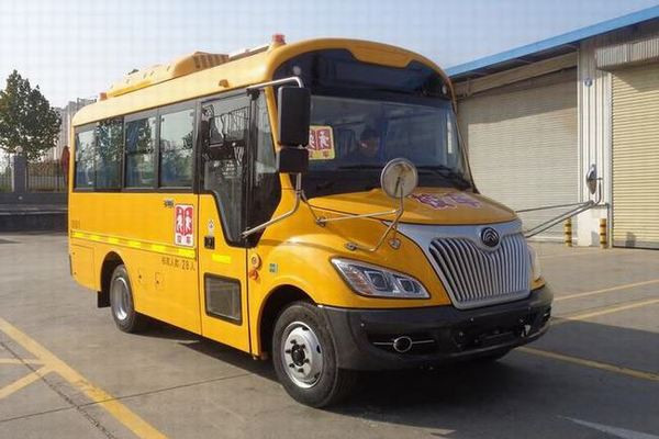 宇通ZK6595DX53幼兒專(zhuān)用校車(chē)（柴油國(guó)五24-28座）