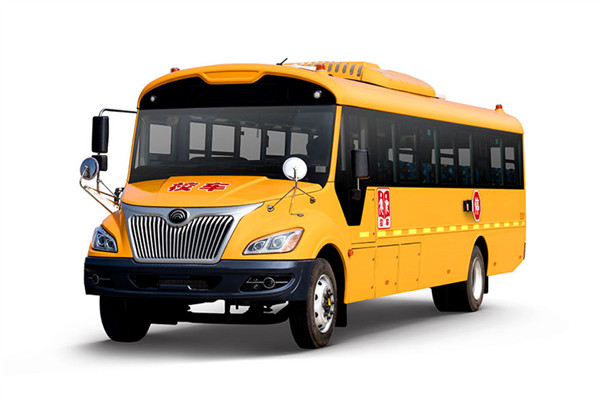 宇通ZK6995DX62小學(xué)生專用校車（柴油國六24-56座）