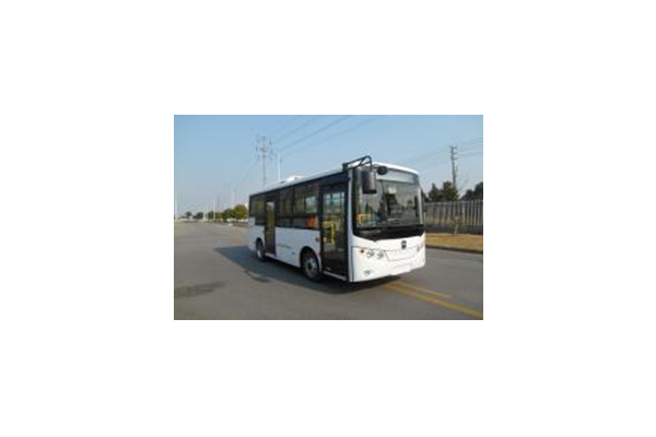 亞星JS6618GHBEV公交車(chē)（純電動(dòng)9-12座）