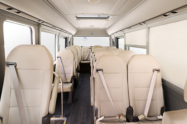 安凱HFF6700N7D6Z客車（柴油國(guó)六10-23座）